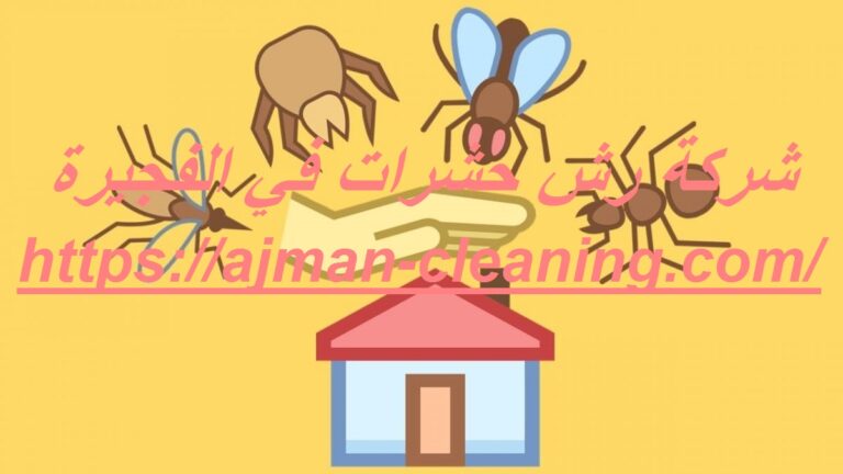 شركة مكافحة الوزغ في راس الخيمة |0501732352