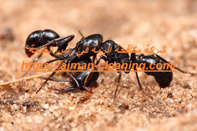 شركة جلي وتلميع الرخام في راس الخيمة |0501732352