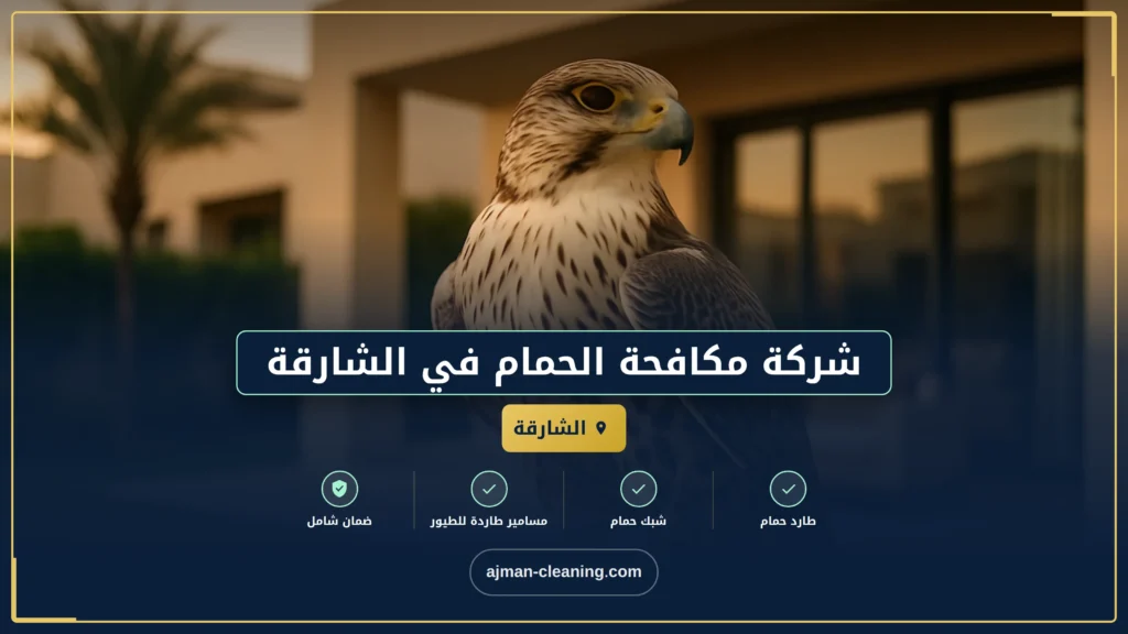 صورة شركة مكافحة الحمام في الشارقة |+971501732352| تركيب طارد الحمام