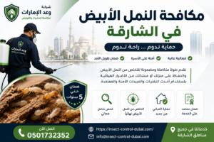 مكافحة النمل الأبيض في الشارقة