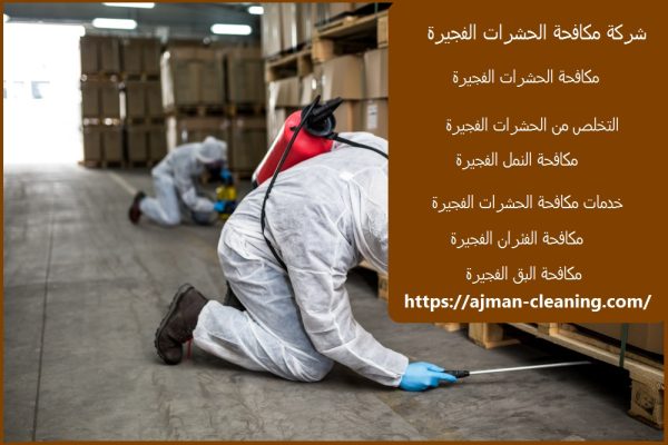 شركة مكافحة الحشرات الفجيرة