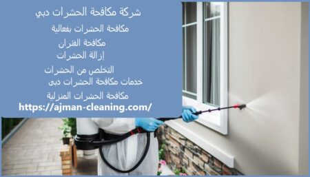 شركة مكافحة الحشرات دبي
