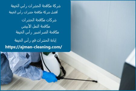 شركة مكافحة الحشرات راس الخيمة