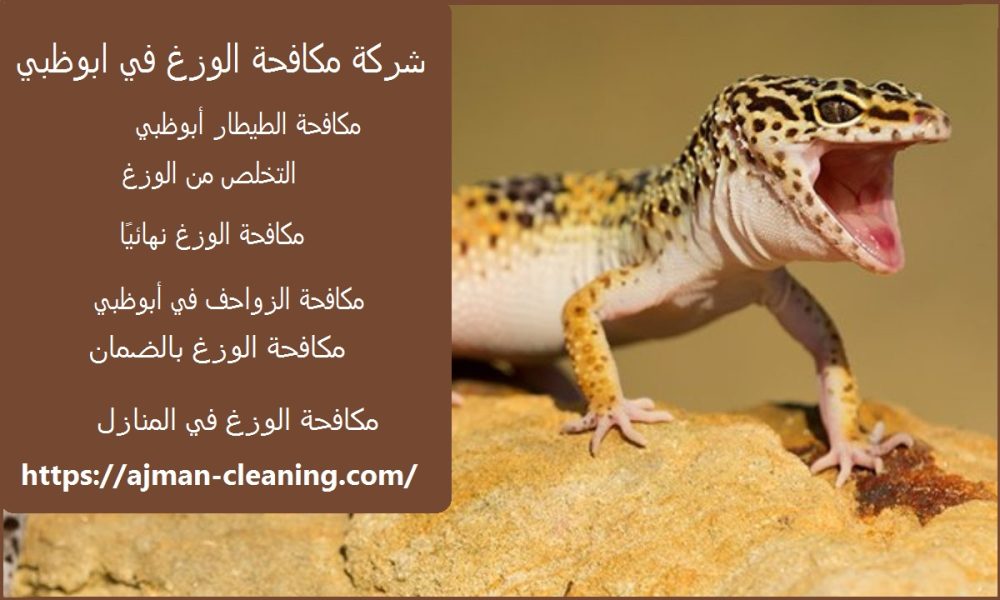 شركة مكافحة الوزغ في ابوظبي