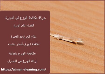 شركة مكافحة الوزغ في الفجيرة