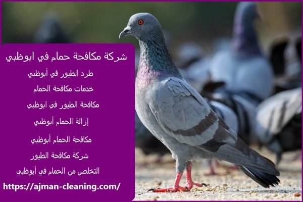 شركة مكافحة حمام في ابوظبي