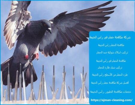 شركة مكافحة حمام في راس الخيمة