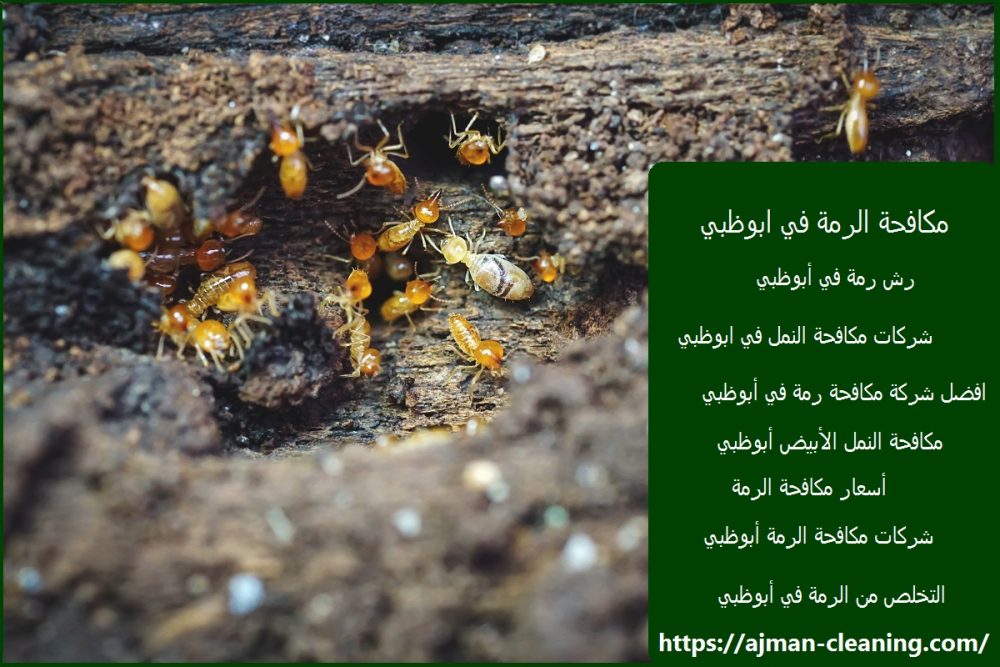 مكافحة الرمة في ابوظبي