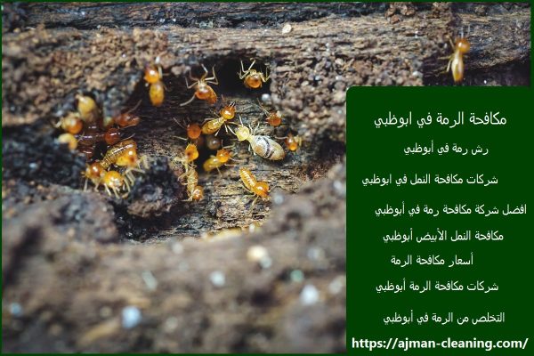 مكافحة الرمة في ابوظبي