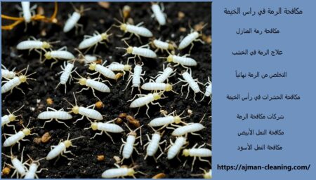 مكافحة الرمة في راس الخيمة