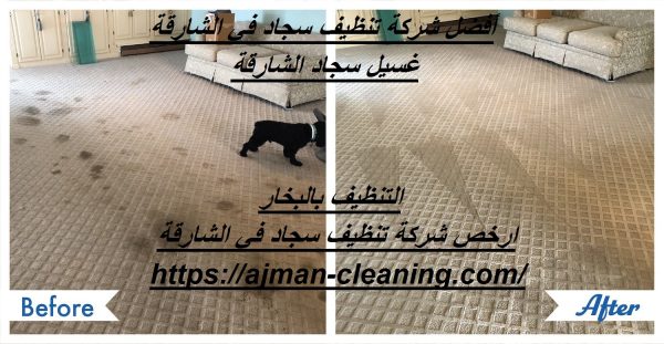أفضل شركة تنظيف سجاد في الشارقة