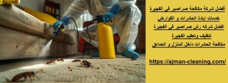 أفضل شركة مكافحة صراصير في الفجيرة