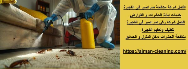 أفضل شركة مكافحة صراصير في الفجيرة