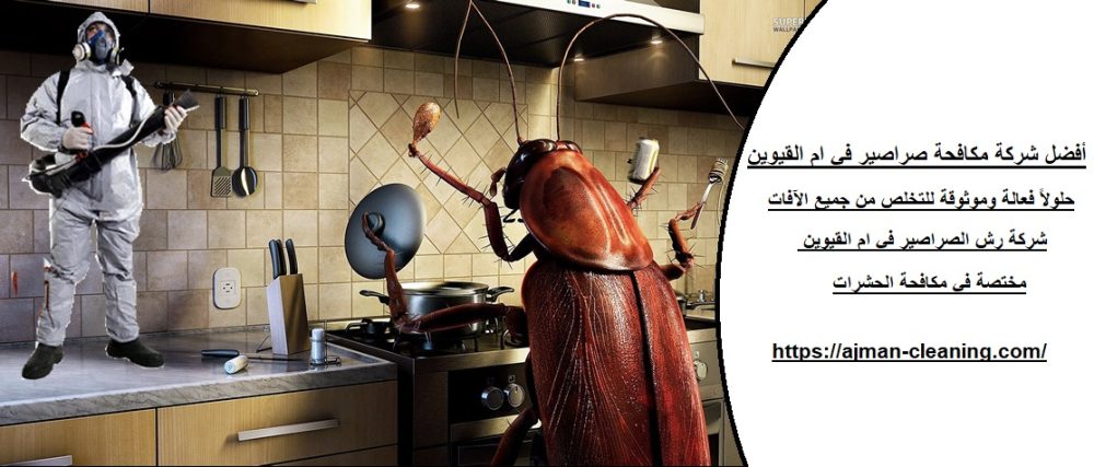 أفضل شركة مكافحة صراصير في ام القيوين