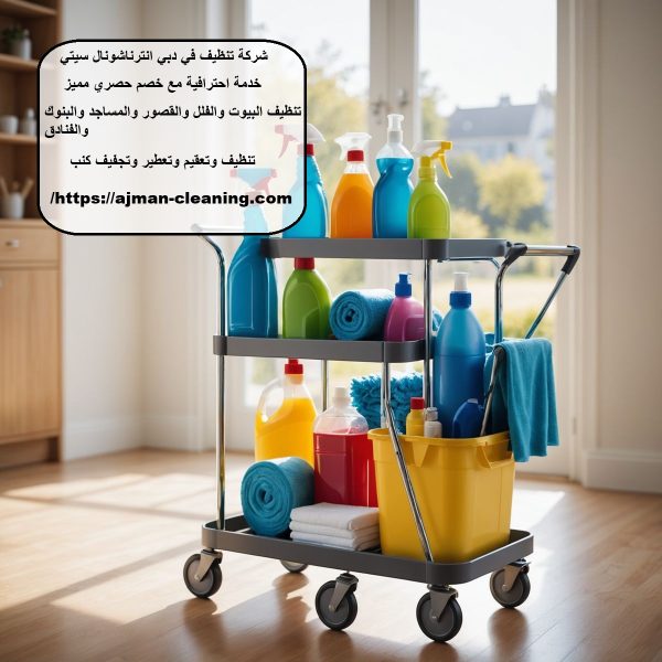 شركة تنظيف في دبي انترناشونال سيتي