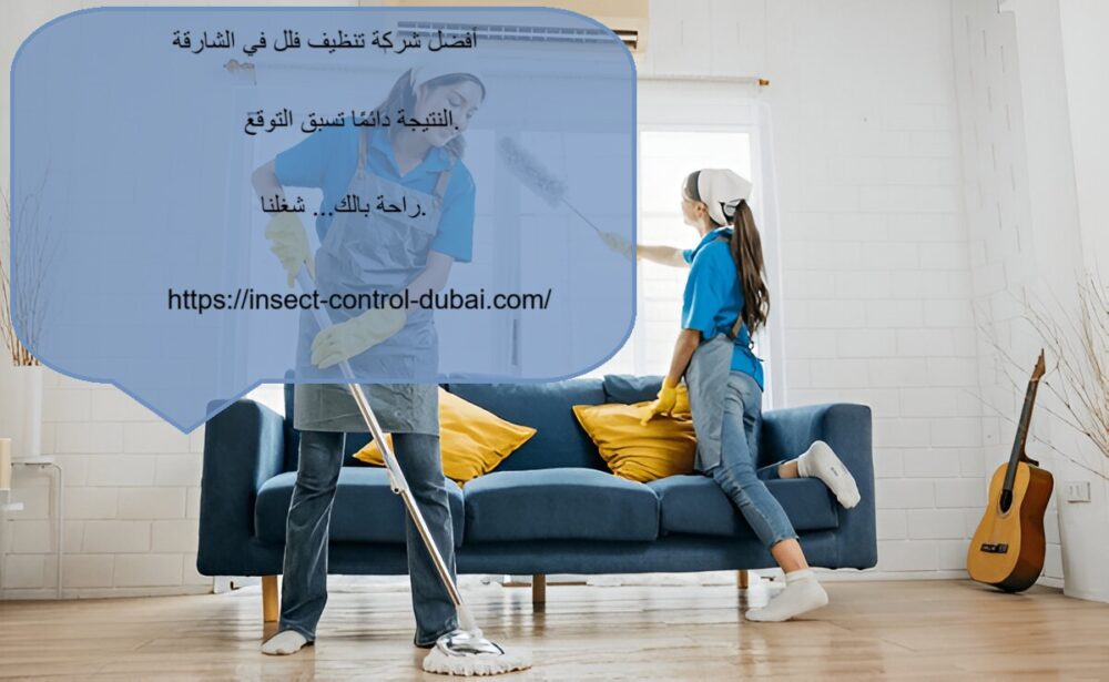 شركة تنظيف فلل في الشارقة