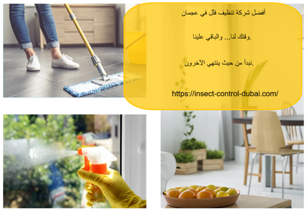 شركة تنظيف فلل في عجمان