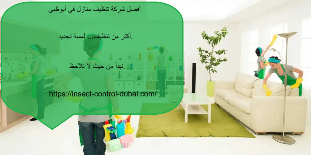 شركة تنظيف منازل في أبوظبي