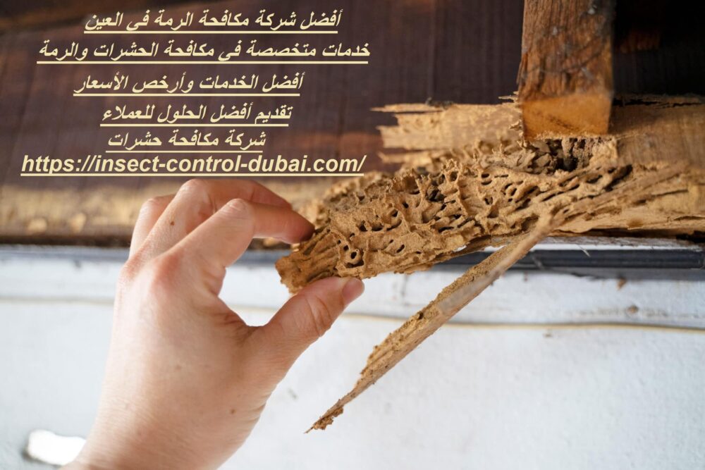 شركة مكافحة الرمة في العين
