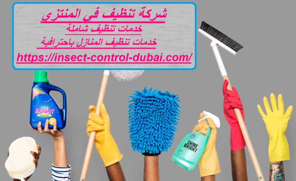شركة تنظيف في المنتزي
