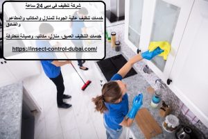 شركة تنظيف في دبي 24 ساعة