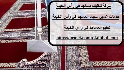 شركة تنظيف مساجد في رأس الخيمة