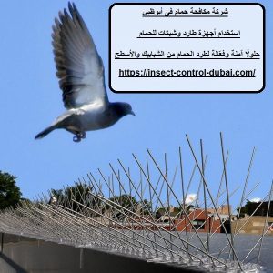 شركة مكافحة حمام فى أبوظبي