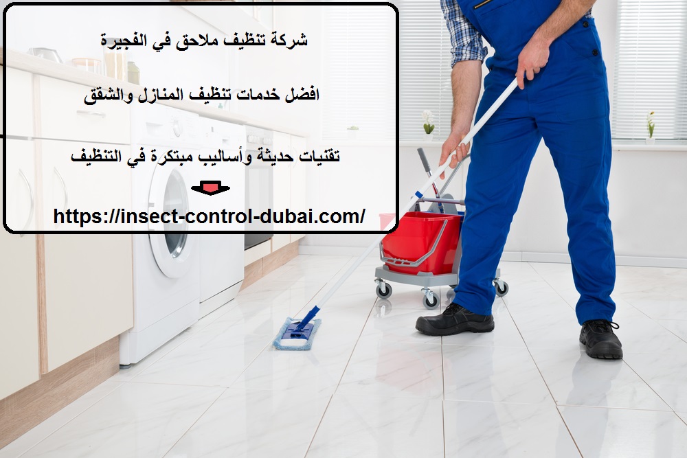 شركة تنظيف ملاحق في الفجيرة